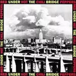 RED HOT CHILI PEPPERS / レッド・ホット・チリ・ペッパーズ / UNDER THE BRIDGE
