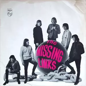 洋楽 Missing Links MISSING LINKS / ミッシング・リンクス商品一覧｜ディスクユニオン