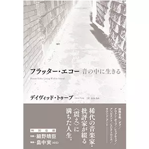 DAVID TOOP / デイヴィッド・トゥープ / フラッター・エコー 音の中に生きる