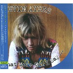 KEVIN AYERS / ケヴィン・エアーズ / WHAT MORE CAN I SAY... / バナナのひとりごと