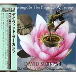 DAVID SURKAMP / デイヴィッド・サーカンプ / 桃源郷の舞踏