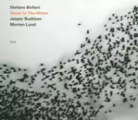 STEFANO BOLLANI / ステファノ・ボラーニ / STONE IN THE WATER