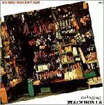 SWINGING MACEDONIA/DUSKO GOYKOVICH/ダスコ・ゴイコヴィッチ｜JAZZ
