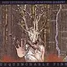 DEEP LISTENING BAND / JOE MCPHEE QUARTET / ディープ・リスニングバンド/ジョー・マクフィー・カルテット / UNQUENCHABLE FIRE
