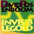 DAVID ROSENBOOM / デヴィッド・ローゼンブーム / INVISIBLE GOLD