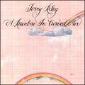 TERRY RILEY / テリー・ライリー / A RAINBOW IN CURVED AIR