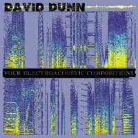 DAVID DUNN / デヴィッド・ダン / FOUR ELECTRO-ACOUSTIC