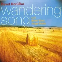 DAVID DORUZKA / ダヴィド・ドルージュカ / WANDERING SONG