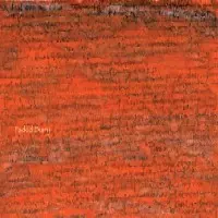 PRAED&TAKUMI SEINO / プラエド&清野拓巳 / FADED DIARY