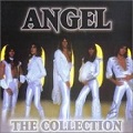 ANGEL (METAL) / エンジェル / COLLECTION