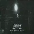 HORNA / KOHTI YHDEKSAN NOUSUA