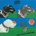 STRAY DOG / ストレイドッグ / WHILE YOU'RE DOWN THERE