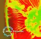 AKIRA TAKASAKI / 高崎晃 / SPLASH MOUNTAIN / スプラッシュ・マウンテン