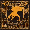VOICES FROM THE PAST III/GALNERYUS/ガルネリウス｜HARDROCK