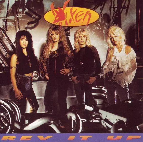 希少 Vixen Give It Away ピクチャーディスク REV IT UP/VIXEN (US