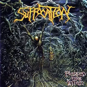 PIERCED FROM WITHIN/SUFFOCATION/サフォケイション｜HARDROCK