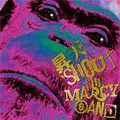 MARCY BAND / マーシー・バンド / 昇天SHOUT