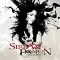 STREAM OF PASSION / ストリーム・オヴ・パッション / DARKER DAYS