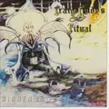 CRAIG GOLDY / クレイグ・ゴールディ / HIDDEN IN PLAIN SIGHT