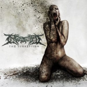 INGESTED / THE SURREPTION