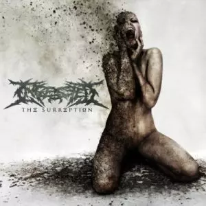Ingested ‎– The Surreption CD デスコア デスメタル Ingested ‎– The Surreption CD デスコア デスメタル