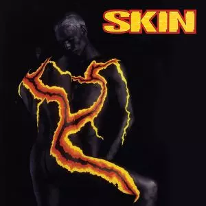 SKIN (METAL) / スキン (METAL) / SKIN