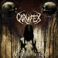 CARNIFEX / UNTIL I FEEL NOTHING