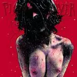 PIG DESTROYER / ピッグ・デストロイヤー / TERRIFYER