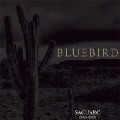 BLUEBIRD / SAGUARO(1995-2003)