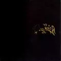 MOONSORROW / ムーンソロウ / VERIFAKEET