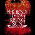 GALNERYUS / ガルネリウス / フェニックス・リヴィング・イン・ザ・ライジング・サン<2DVD+2CD>