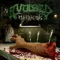 AVULSED / アブルセド / REANIMATIONS