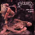 AVULSED / アブルセド / STABWOUND ORGASM