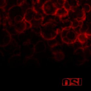 OSI / BLOOD<2CD / SPECIAL EDITION>