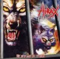 【中古】 New Age of Terror Hirax NEW AGE OF TERROR/HIRAX/ハイラックス｜HARDROCK & HEAVYMETAL