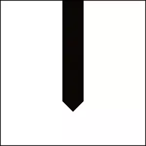 SHINING (from Sweden) / シャイニング / REDEFINING DARKNESS
