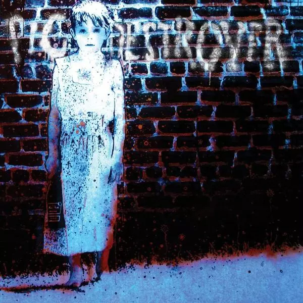 PIG DESTROYER / ピッグ・デストロイヤー / BOOK BURNER