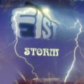 FIST / フィスト / STORM