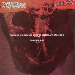 PARACOCCI... / BUTCHER ABC / スプリット