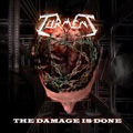 TORMENT (METAL) / THE DAMAGE IS DONE