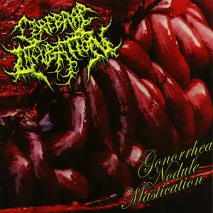 CEREBRAL INCUBATION商品一覧｜HARD ROCK / HEAVY METAL｜ディスク