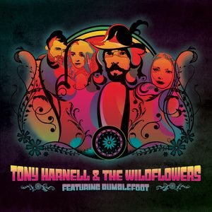 TONY HARNELL & THE WILDFLOWERS / TONY HARNELL & THE WILDFLOWERS<PAPER SLEEVE>