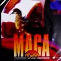 AKIRA TAKASAKI / 高崎晃 / MACA
