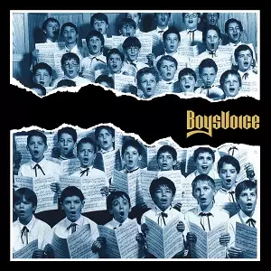BOYSVOICE ボーイズヴォイス BOYSVOICE / ボーイズヴォイス商品一覧｜HARD ROCK / HEAVY METAL
