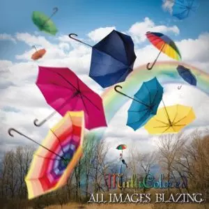 ALL IMAGES BLAZING / オール・イメージズ・ブレイジング / MULTICOLORED / マルチカラード