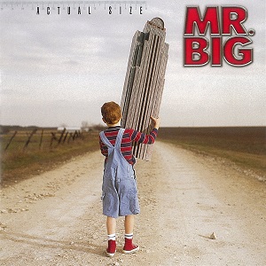 MR. BIG / ミスター・ビッグ / ACTUAL SIZE / アクチュアル・サイズ