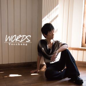 VOOCHANG / ぼっちゃん / WORDS / ワーズ