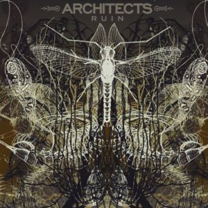 ARCHITECTS / アーキテクツ / RUIN