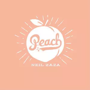 Neil Zaza アルバム3枚セット Neil Zaza for sale | eBay