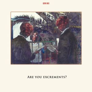 C.S.S.O. / ARE YOU EXCREMENTS ?<BLACK VINYL>